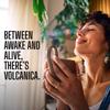Volcanica House Decaf Coffee, Whole Bean, Swiss Water Processed, Fresh Roasted, Kosher, 16-ounce view 2