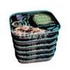 John West Cod Soft Roes (100g) - Pack of 6 view 1