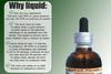 Hawaii Pharm Cilantro (Coriandrum Sativum) Liquid Extract 2 oz view 4