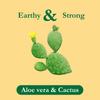 Tadin Aloe Vera Cactus Herbal Tea, Caffeine Free, 24 Tea Bag Per Box, Pack of 6 Boxes Total view 3