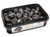 Al Madina Ajwa Dates - Premium Quality 16 oz (1 lb) - 454 g view 2