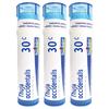 Boiron Thuja Occidentalis 30c Homeopathic Medicine for Warts - Pack of 3 (240 Pellets) view 1