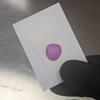 Crime Scene Semen Detection Test, Single Pack view 3